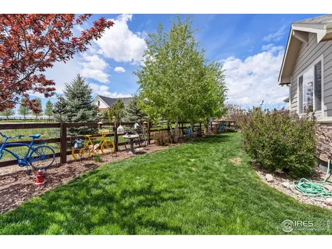 871 Shade Tree Dr, Windsor, CO 80550 photo 27
