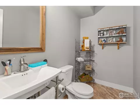 871 Shade Tree Dr, Windsor, CO 80550 photo 23