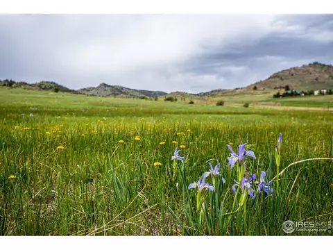 816 Meadow Way, Livermore, CO 80536
