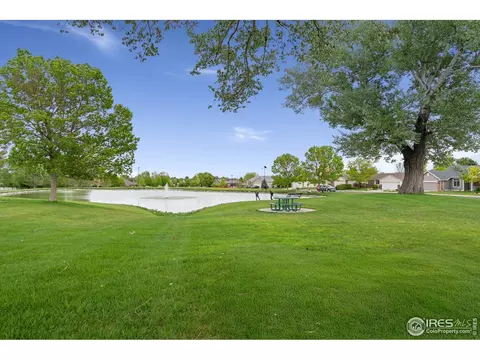 512 Prairie Clover Way, Severance, CO 80550 photo 26