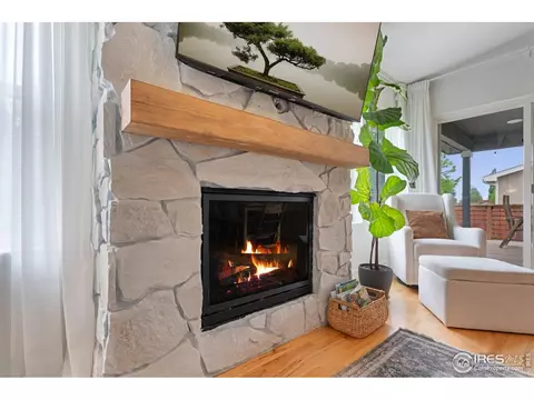 512 Prairie Clover Way, Severance, CO 80550 photo 10