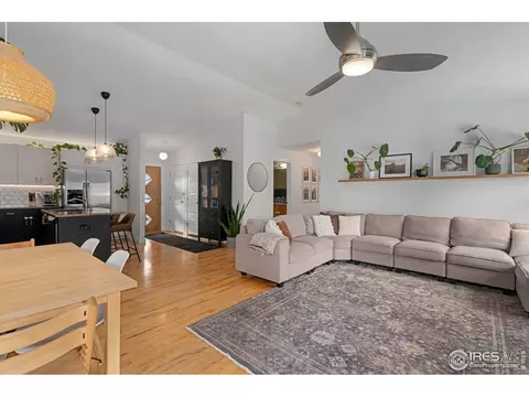 512 Prairie Clover Way, Severance, CO 80550 photo 6