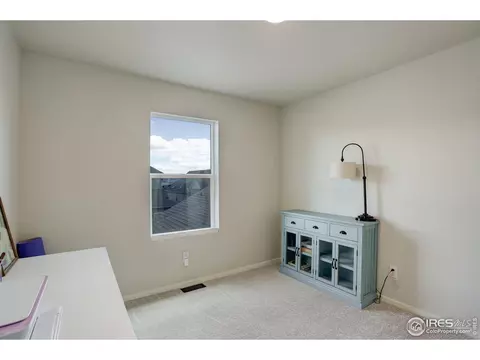 5282 Ribault St, Timnath, CO 80547 photo 19