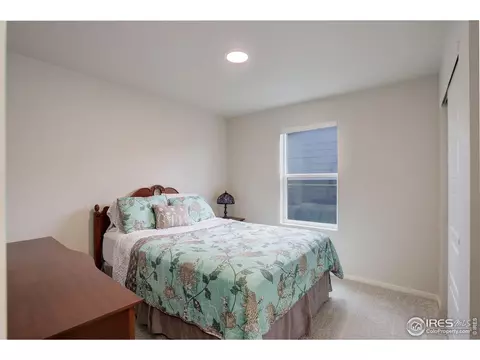 5282 Ribault St, Timnath, CO 80547 photo 22