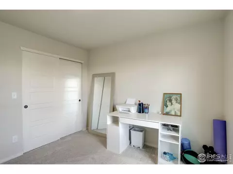 5282 Ribault St, Timnath, CO 80547 photo 23