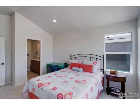 5282 Ribault St, Timnath, CO 80547 photo 21