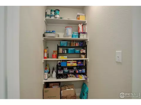 5282 Ribault St, Timnath, CO 80547 photo 25