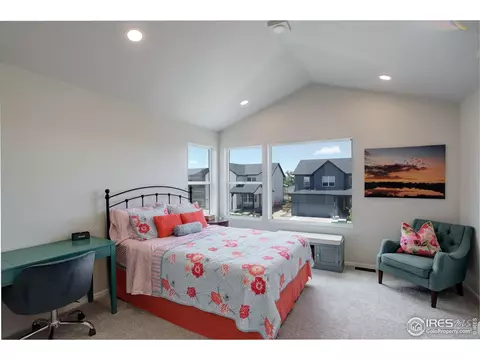 5282 Ribault St, Timnath, CO 80547 photo 18