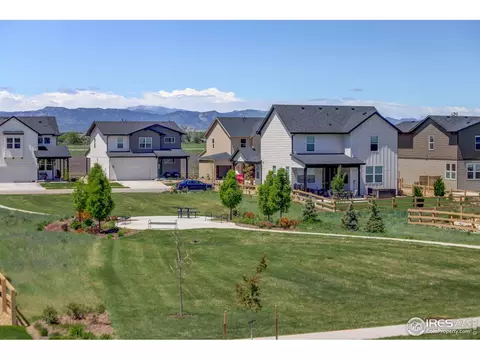 5282 Ribault St, Timnath, CO 80547 photo 36