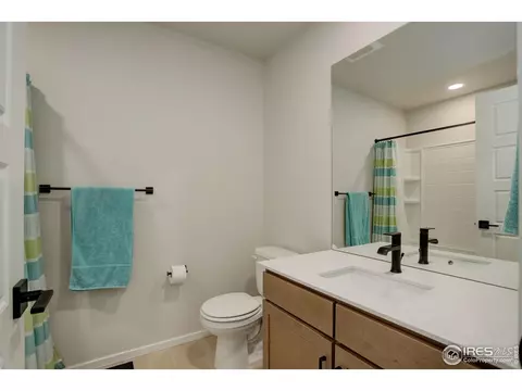 5282 Ribault St, Timnath, CO 80547 photo 20