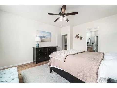 614 Park Edge Cir, Windsor, CO 80550 photo 13