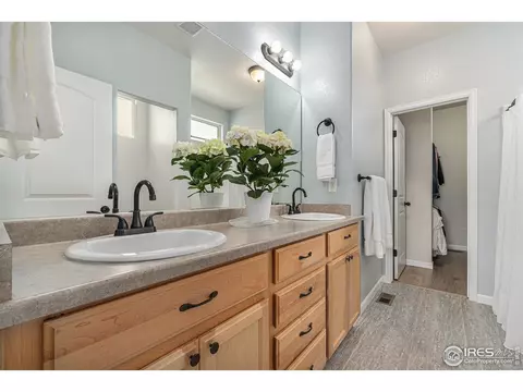 614 Park Edge Cir, Windsor, CO 80550 photo 15