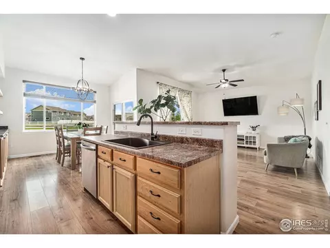 614 Park Edge Cir, Windsor, CO 80550 photo 6