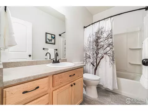 614 Park Edge Cir, Windsor, CO 80550 photo 19