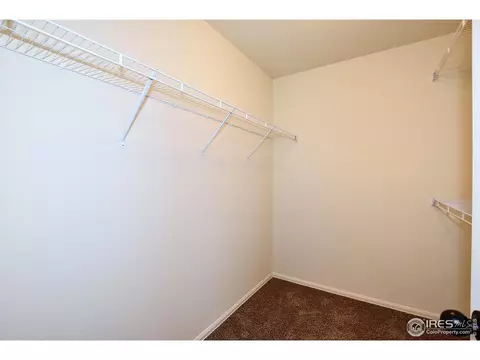 430 Brilliant Dr, Windsor, CO 80550 photo 33