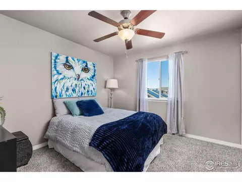 6681 6th St, Frederick, CO 80530 photo 19