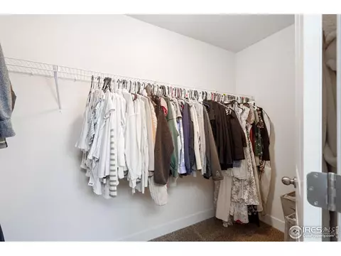 1566 Driftline Dr, Windsor, CO 80550 photo 15