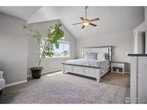 5816 Osbourne Ct, Windsor, CO 80550 photo 23