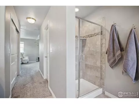 5816 Osbourne Ct, Windsor, CO 80550 photo 27