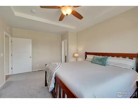 6448 Cloudburst Ave, Timnath, CO 80547 photo 17