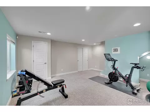 6448 Cloudburst Ave, Timnath, CO 80547 photo 36