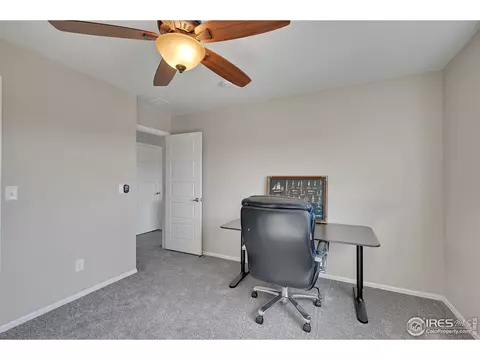 6448 Cloudburst Ave, Timnath, CO 80547 photo 28