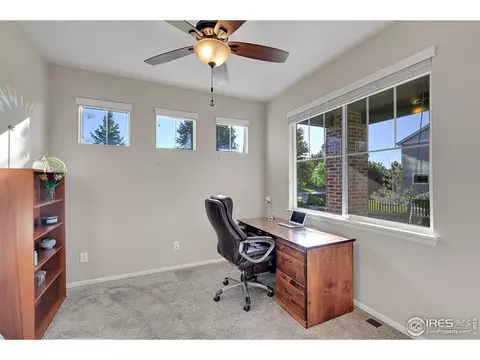 6448 Cloudburst Ave, Timnath, CO 80547 photo 5
