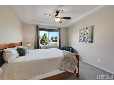 6448 Cloudburst Ave, Timnath, CO 80547 photo 16