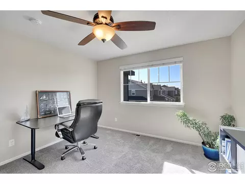 6448 Cloudburst Ave, Timnath, CO 80547 photo 27