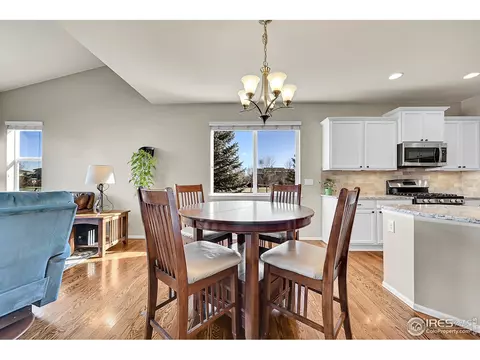 6448 Cloudburst Ave, Timnath, CO 80547 photo 10