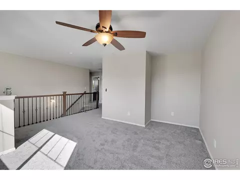 6448 Cloudburst Ave, Timnath, CO 80547 photo 23