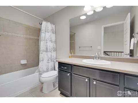 6448 Cloudburst Ave, Timnath, CO 80547 photo 29