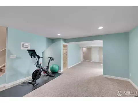 6448 Cloudburst Ave, Timnath, CO 80547 photo 35