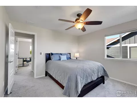 6448 Cloudburst Ave, Timnath, CO 80547 photo 25