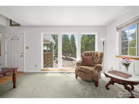 266 Gap Rd, Black Hawk, CO 80422 photo 9