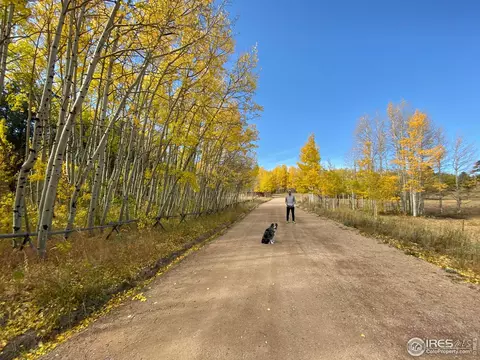 613 Ranch Rd, Ward, CO 80481 photo 36