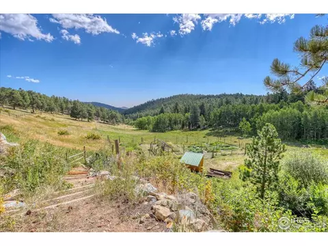 613 Ranch Rd, Ward, CO 80481 photo 33
