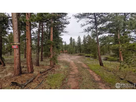 219 Yuki Dr, Red Feather Lakes, CO 80545