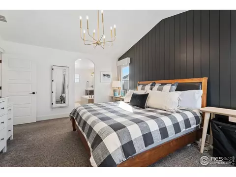 6434 Cloudburst Ave, Timnath, CO 80547 photo 16