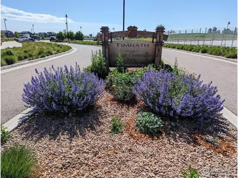 6434 Cloudburst Ave, Timnath, CO 80547 photo 34
