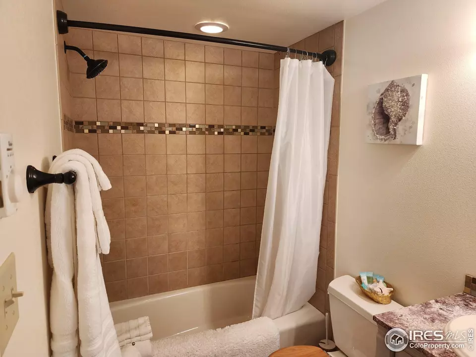 Bath - 88 Pinyon Trl, Estes Park, CO 80517 photo 3 of 6