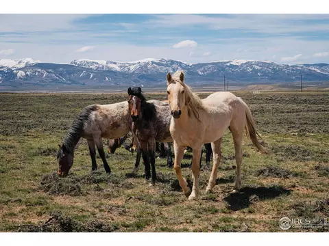 Jackson County Road 26, Walden, CO 80480