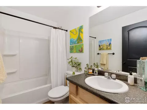 5869 Vinca Ave, Longmont, CO 80504 photo 5
