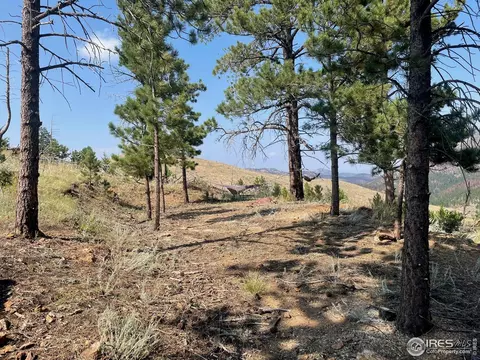 1009 County Road 87j, Lyons, CO 80540 photo 22