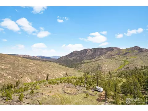 1009 County Road 87j, Lyons, CO 80540 photo 16