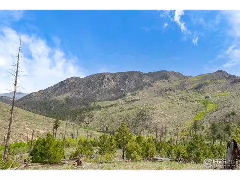 1009 County Road 87j, Lyons, CO 80540 photo 7