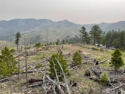 1009 County Road 87j, Lyons, CO 80540 photo 27