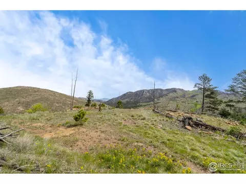 1009 County Road 87j, Lyons, CO 80540 photo 6