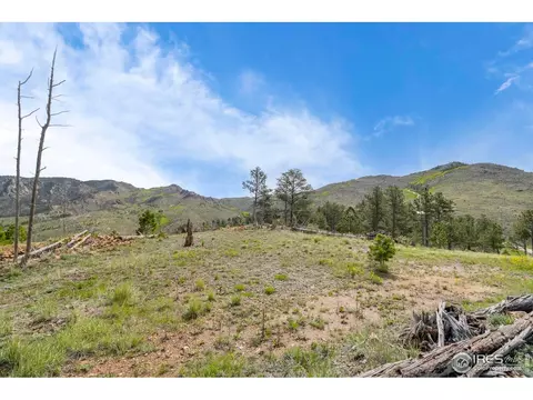 1009 County Road 87j, Lyons, CO 80540 photo 5