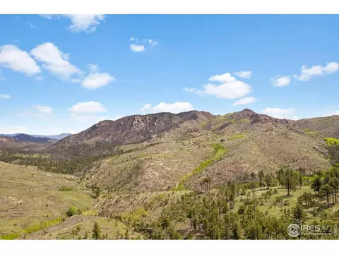1009 County Road 87j, Lyons, CO 80540 photo 11